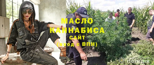 стаф Дмитриев