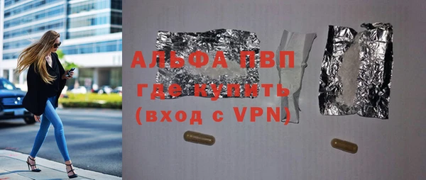стаф Дмитриев