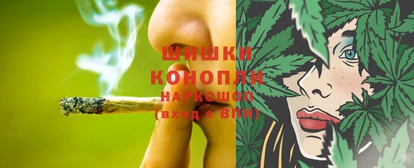 амф Дмитров