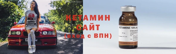стаф Дмитриев