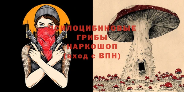 стаф Дмитриев
