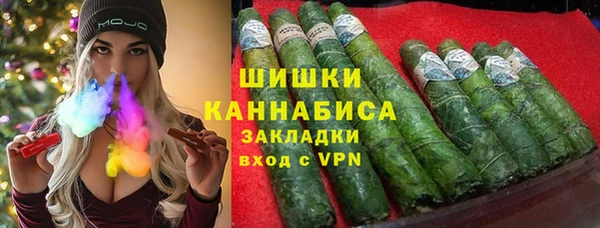гидра Гусиноозёрск
