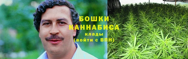амф Дмитров