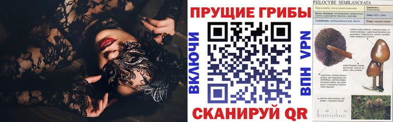 Купить где  Светлый  Псилоцибиновые грибы Magic Shrooms 